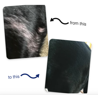 Sheddi™